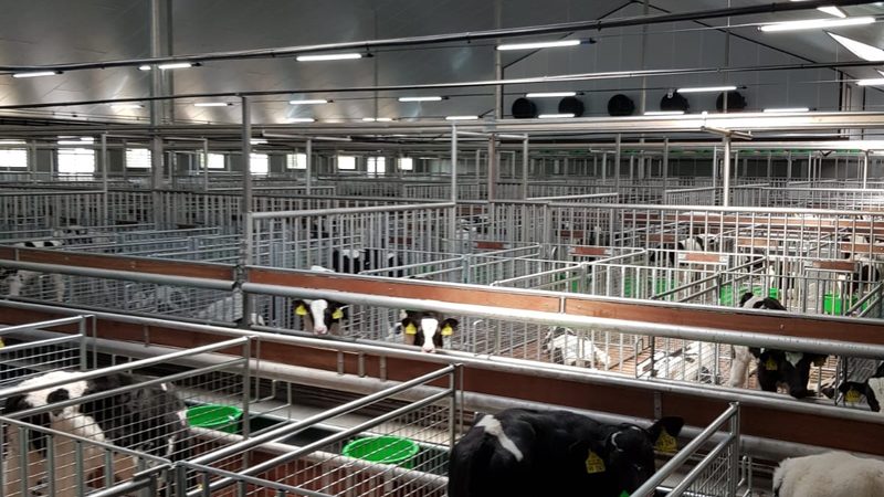 代运营与自运营：电商之路上的两种运营模式解析